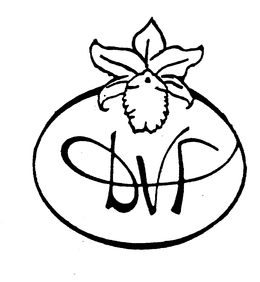 DVF trademark