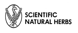 SCIENTIFIC NATURAL HERBS trademark