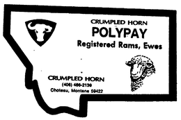 CRUMPED HORNE POLYPAY REGISTERED RAMS, EWES trademark