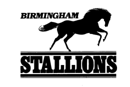 BIRMINGHAM STALLIONS trademark