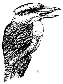 MISCELLANEOUS trademark