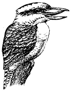 MISCELLANEOUS trademark