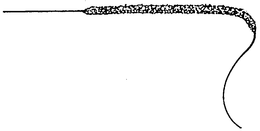 MISCELLANEOUS trademark