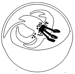 MISCELLANEOUS trademark