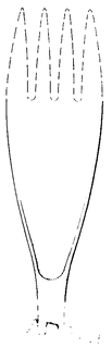 MISCELLANEOUS trademark