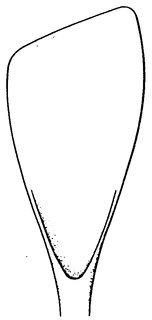 MISCELLANEOUS trademark