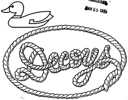 DECOYS trademark