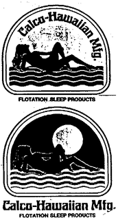 CALCO-HAWAIIAN trademark