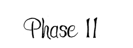 PHASE II trademark