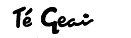 TE GEAI trademark