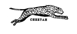 CHEETAH trademark