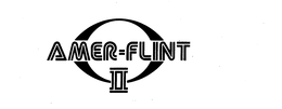 AMER-FLINT II trademark