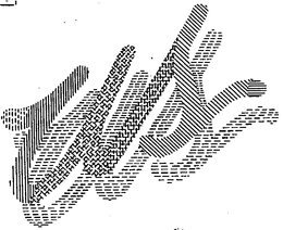 US trademark