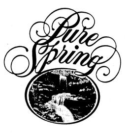 PURE SPRING trademark