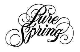 PURE SPRING trademark
