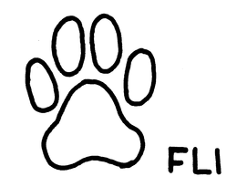 FLI trademark