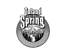 POLAND SPRING trademark