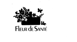 FLEUR DE SANTE trademark