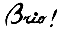 BRIO! trademark
