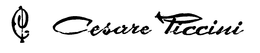 CP CESARE PICCINI trademark