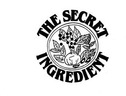 THE SECRET INGREDIENT trademark