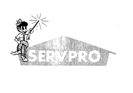 SERVPRO trademark