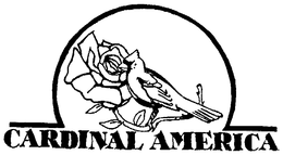 CARDINAL AMERICA trademark