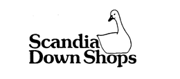 SCANDIA DOWN SHOPS trademark