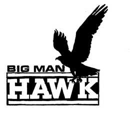 BIG MAN HAWK trademark