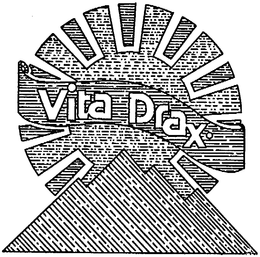 VITA DRAX trademark