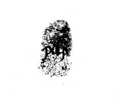 PDP trademark