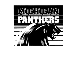 MICHIGAN PANTHERS trademark