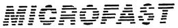 MICROFAST trademark