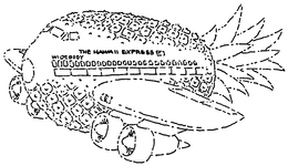 THE HAWAII EXPRESS WIDEBODY trademark