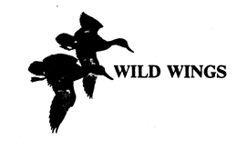 WILD WINGS trademark