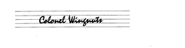 COLONEL WINGNUTS trademark