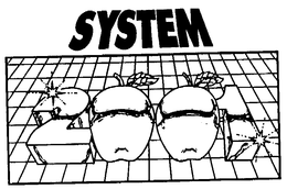 SYSTEM trademark