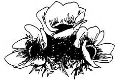 WINEBEAU trademark