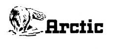 ARCTIC trademark