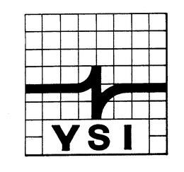 YSI trademark