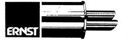 ERNST trademark