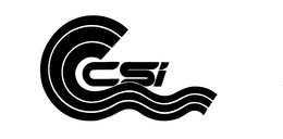 CSI trademark