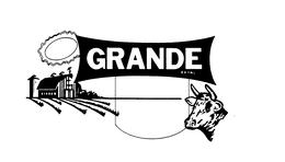 GRANDE BRAND trademark
