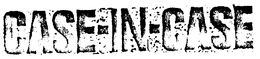 CASE-IN-CASE trademark