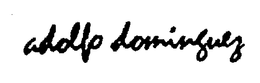 ADOLFO DOMINGUEZ trademark