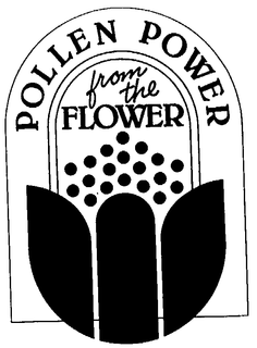POLLEN POWER FROM THE FLOWER CERNITIN AMERICA INC. trademark