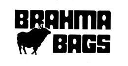 BRAHMA BAGS trademark