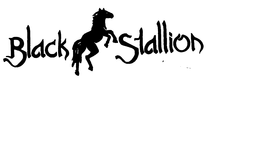 BLACK STALLION trademark