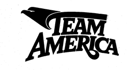 TEAM AMERICA trademark