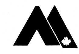 M trademark